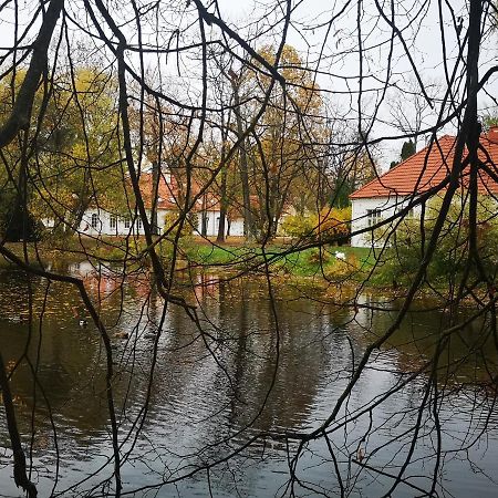 Botanical Garden Studio Каунас Екстер'єр фото