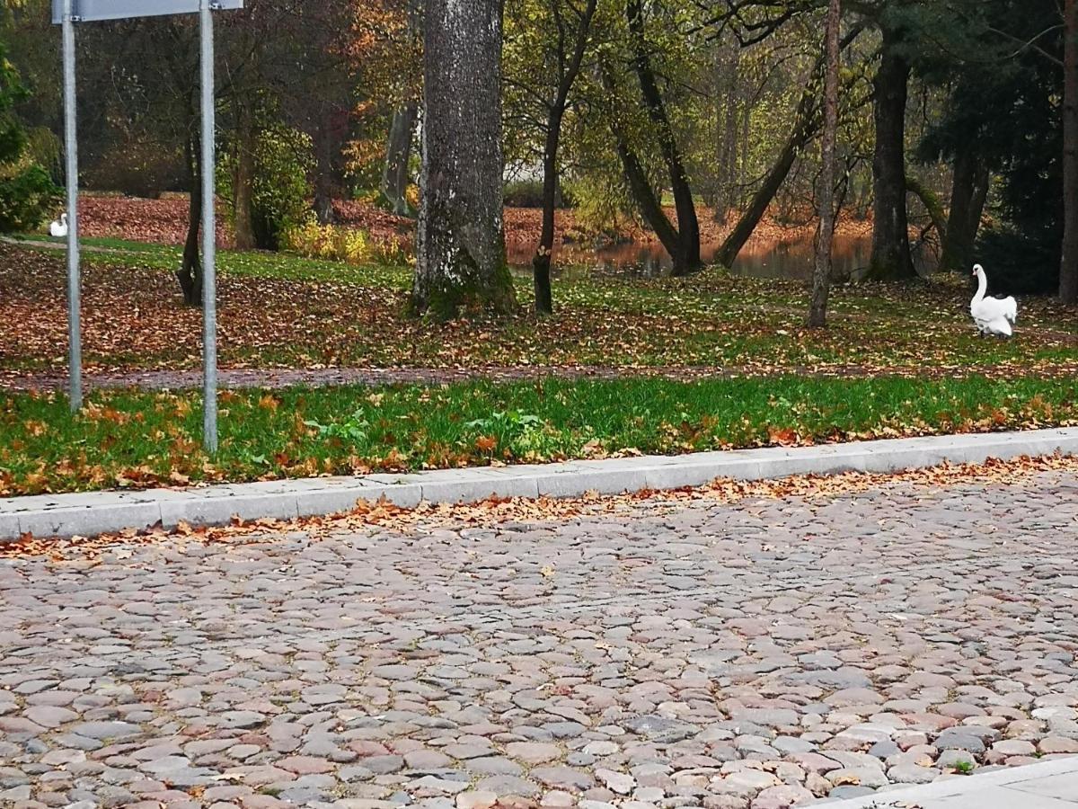 Botanical Garden Studio Каунас Екстер'єр фото